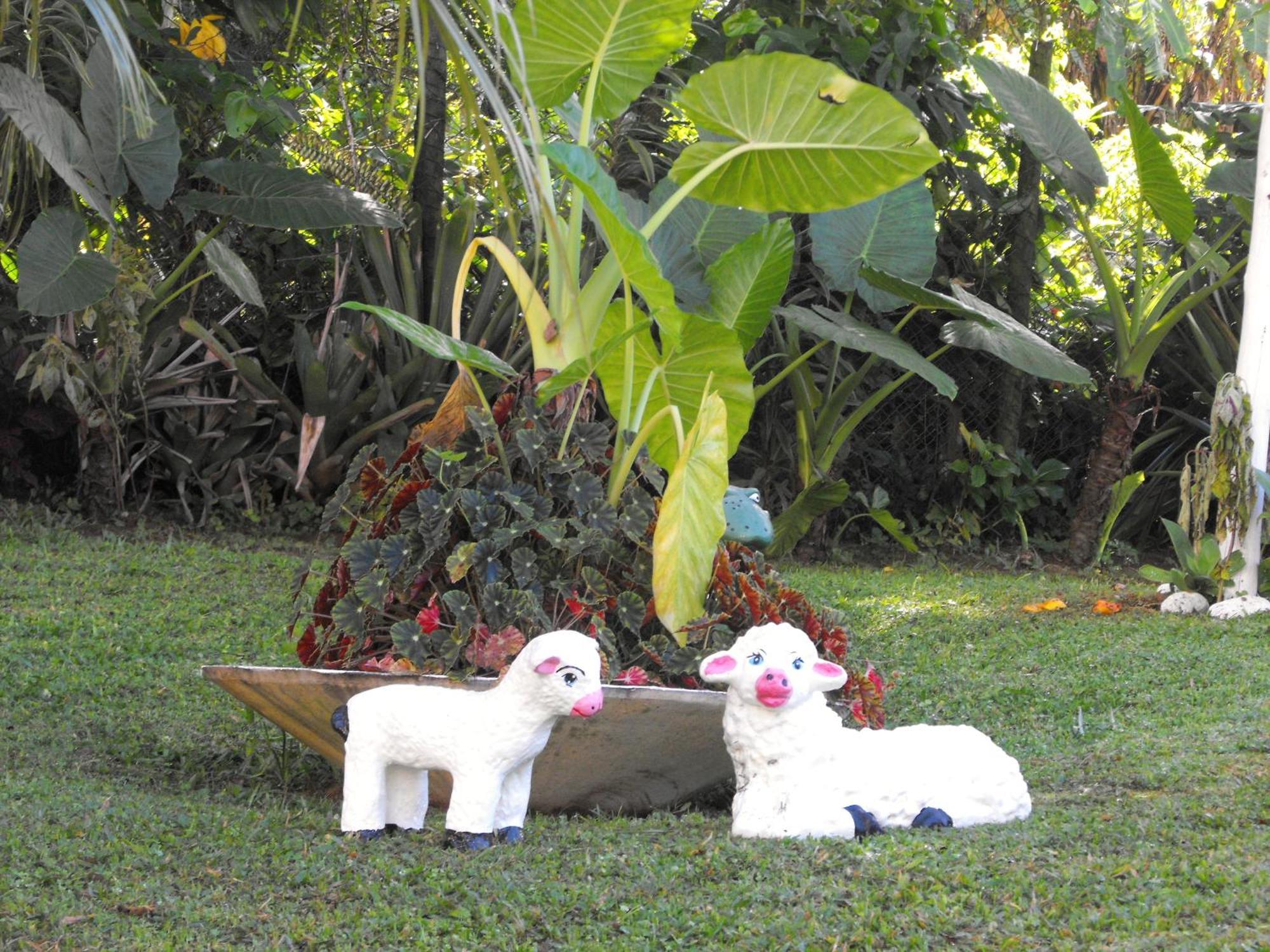 Pousada Cascata Dos Amores Teresopolis Exterior photo