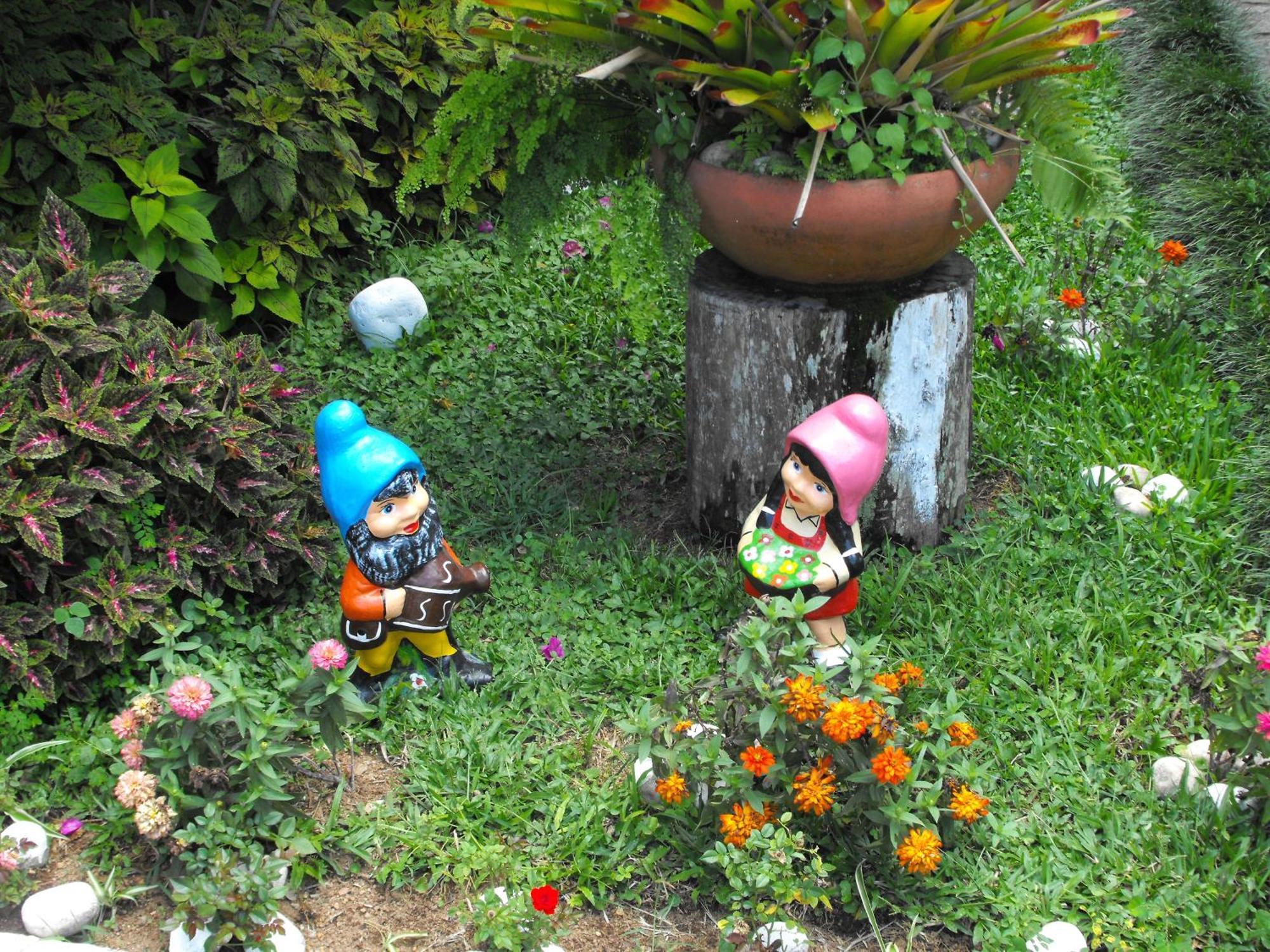 Pousada Cascata Dos Amores Teresopolis Exterior photo